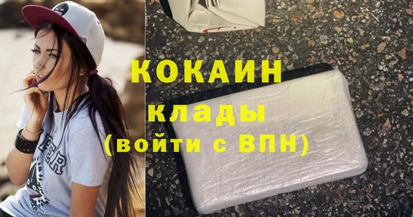 mdpv Богородицк