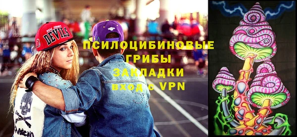 a pvp Богданович