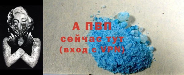 mdpv Богородицк
