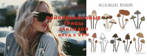 a pvp Богданович