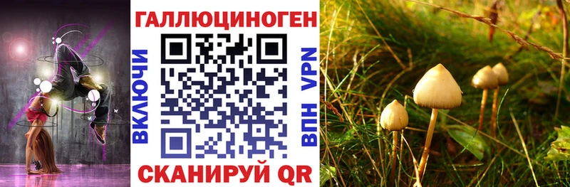 продажа наркотиков  Кущёвская  Галлюциногенные грибы Psilocybine cubensis 