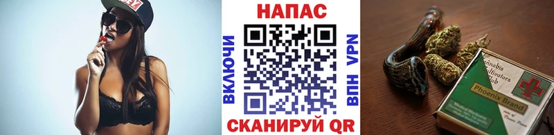 что такое   Кущёвская  блэк спрут   Бошки Шишки семена 